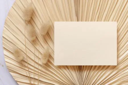 Image de la catégorie Carte cadeau