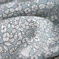 Fleurs bleues