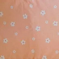 Marguerite orange