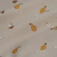 Fruits beiges