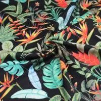 Tropical