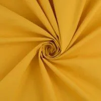 Jaune ocre