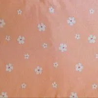 Marguerite blanche orange