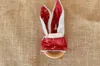 Image de Anneau de dentition