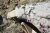 Image de Aloha