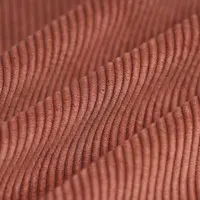 Velours cotele brun noisette