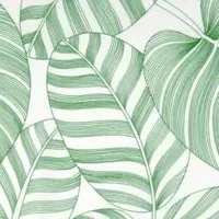 Feuilles vertes déperlant