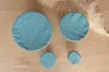 Image de Ecaille bleue