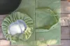 Image de Vichy vert