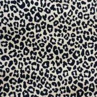 Leopard taches noires